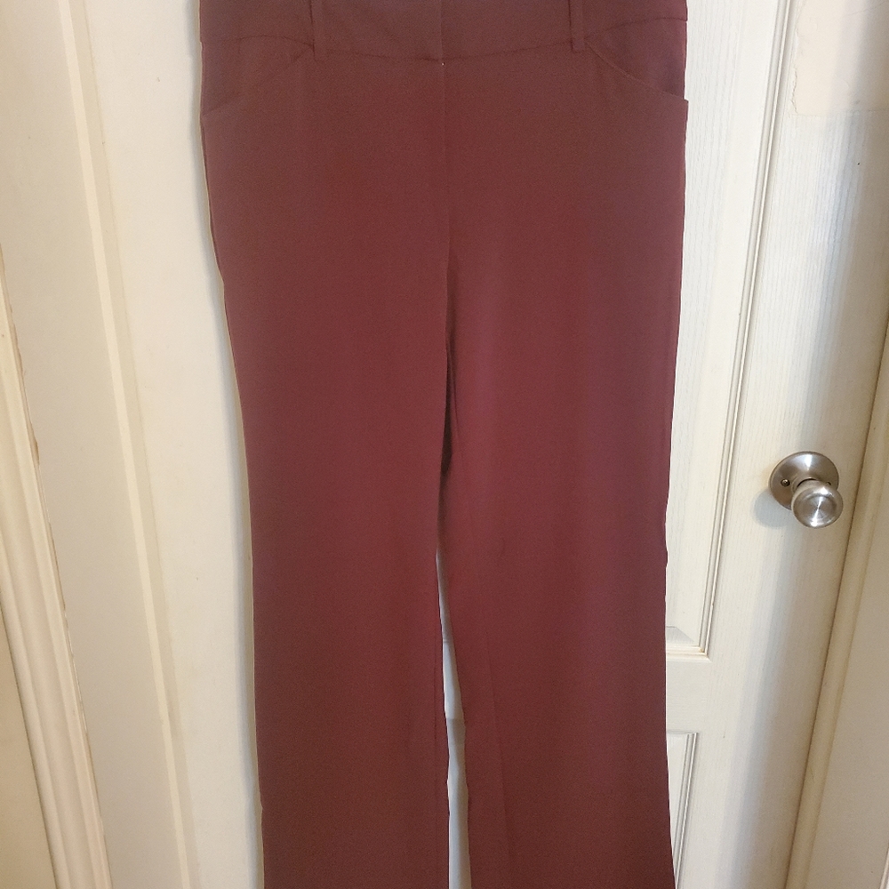 NY& Company pants